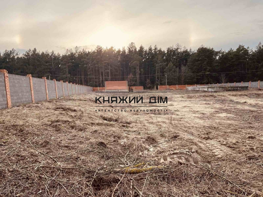 Продаж земельної ділянки 43 соток на вул. Кодівська Protsiv - photo 2