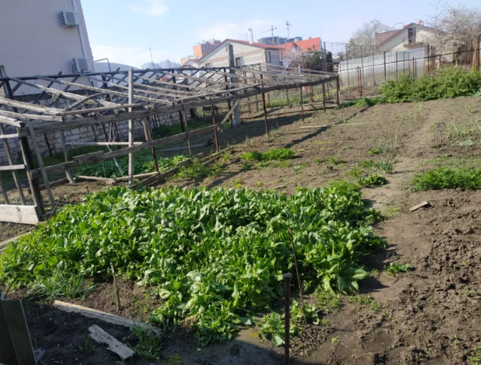 Продаж земельної ділянки 0.1 соток на ул. Шевченко, 6 Sukhyi Lyman - photo 1