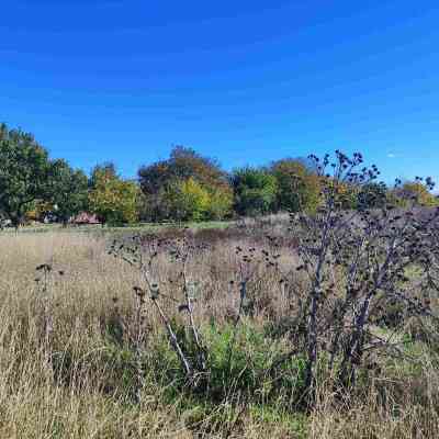 Продаж земельної ділянки 1.78 соток на ул. Совхозная, 1/16 Усатове