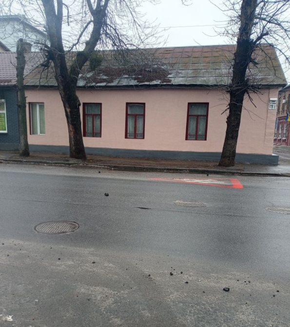 Продаж 1-поверховий Частина будинку з ділянкою 1 сот 60 кв.м 3 кімн. на Св. Ріхтера Житомир - изображение 1