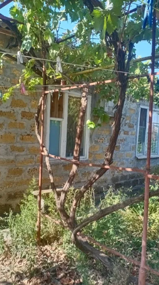 Продам дом с газом в с.Александровка (Лиманский р-н, 5 км от Одессы) Dobrooleksandrivka - photo 8