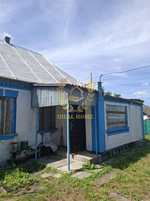 Продам будинок в Устимівці Ustymivka - photo 1