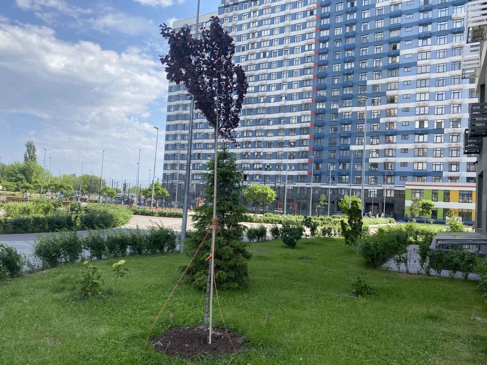 Продаж Квартира 3-кімнатна, 7/25 поверх на улица Сверстюка Евгения, д.6 Киев - изображение 15