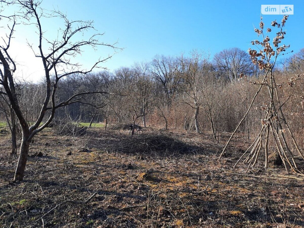 Продаж земельної ділянки 40 соток  - фото 5