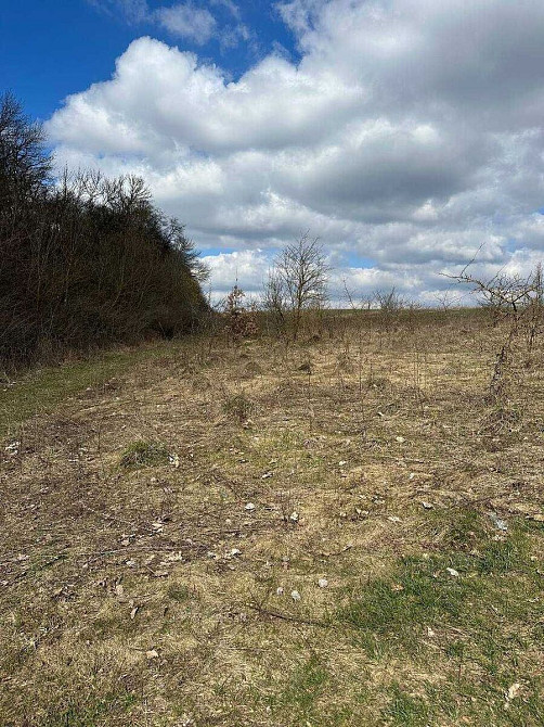 Продаж земельної ділянки 12 соток Байківці - фото 4