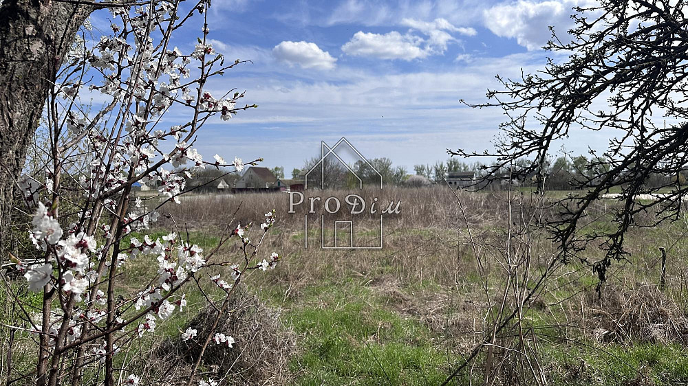 Продаж Будинок 3-кімнатний Глибоке - изображение 9