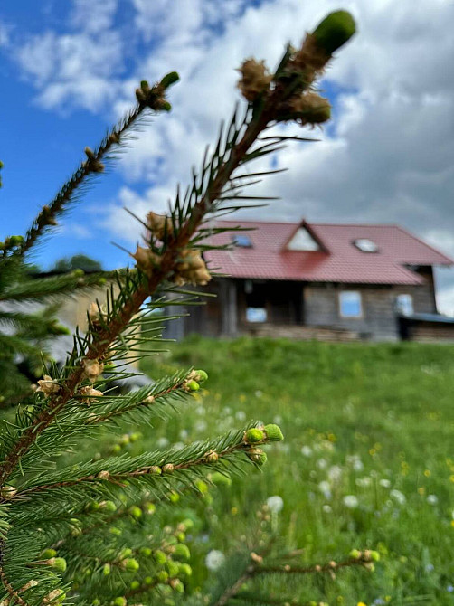 Продаж Будинок Космач (Косівський район) - фото 1
