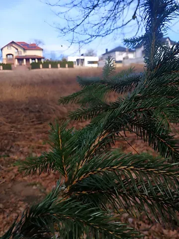 Продажа земельного участка  площадь 10 сот Тернопільська вулиця 1  - изображение 3