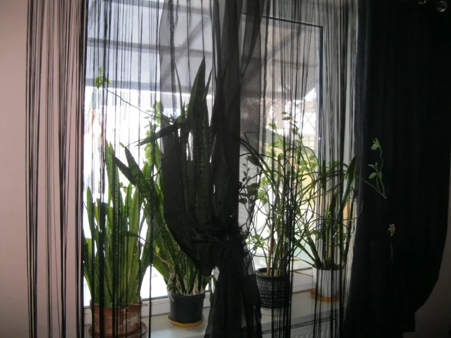 Продаж 3-поверховий Будинок з ділянкою 3 сот 116 кв.м 3 кімн. на Роздільна Дніпро - фото 4