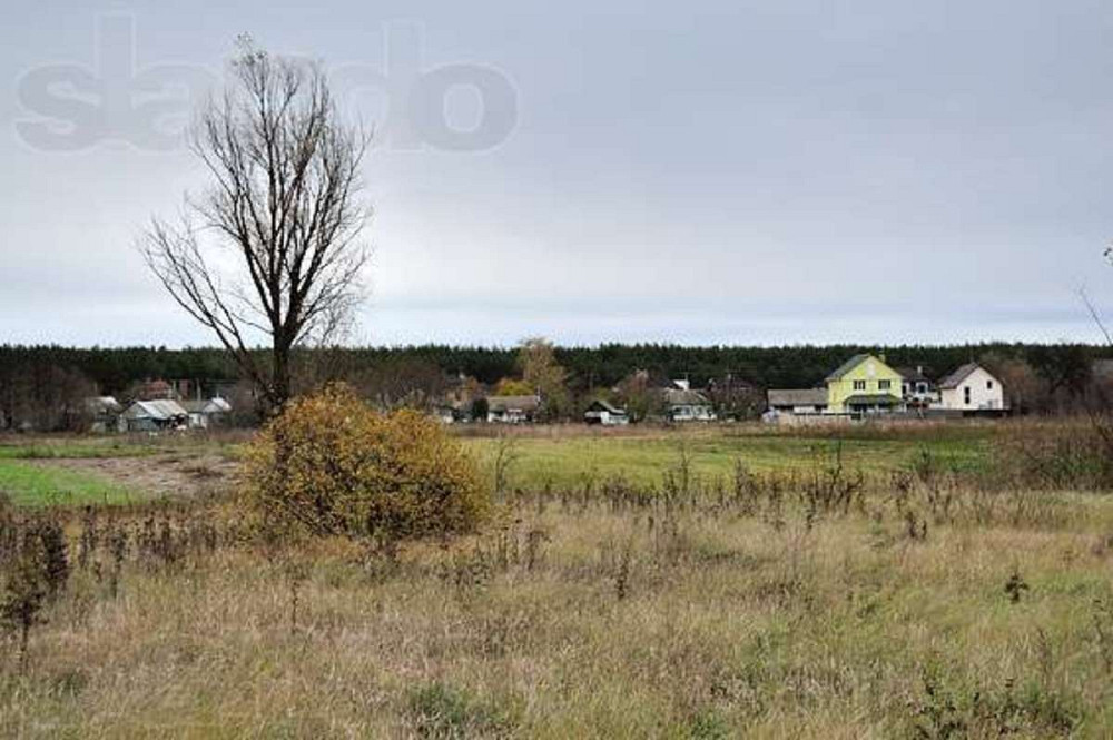 Продаж земельної ділянки 10 соток  - фото 2