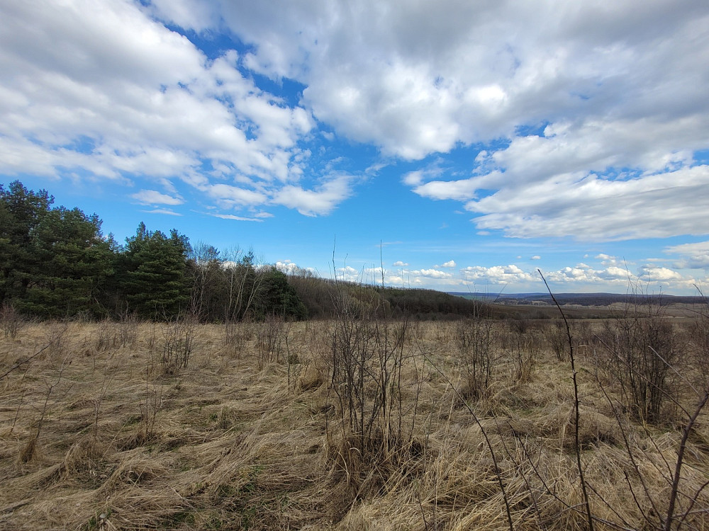 Продаж земельної ділянки 1.87 га Kolodiivka - photo 7