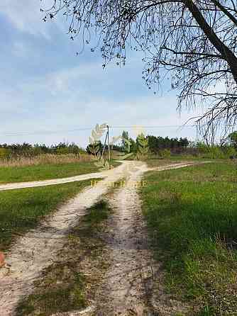 Продаж земельної ділянки 24.99 соток 