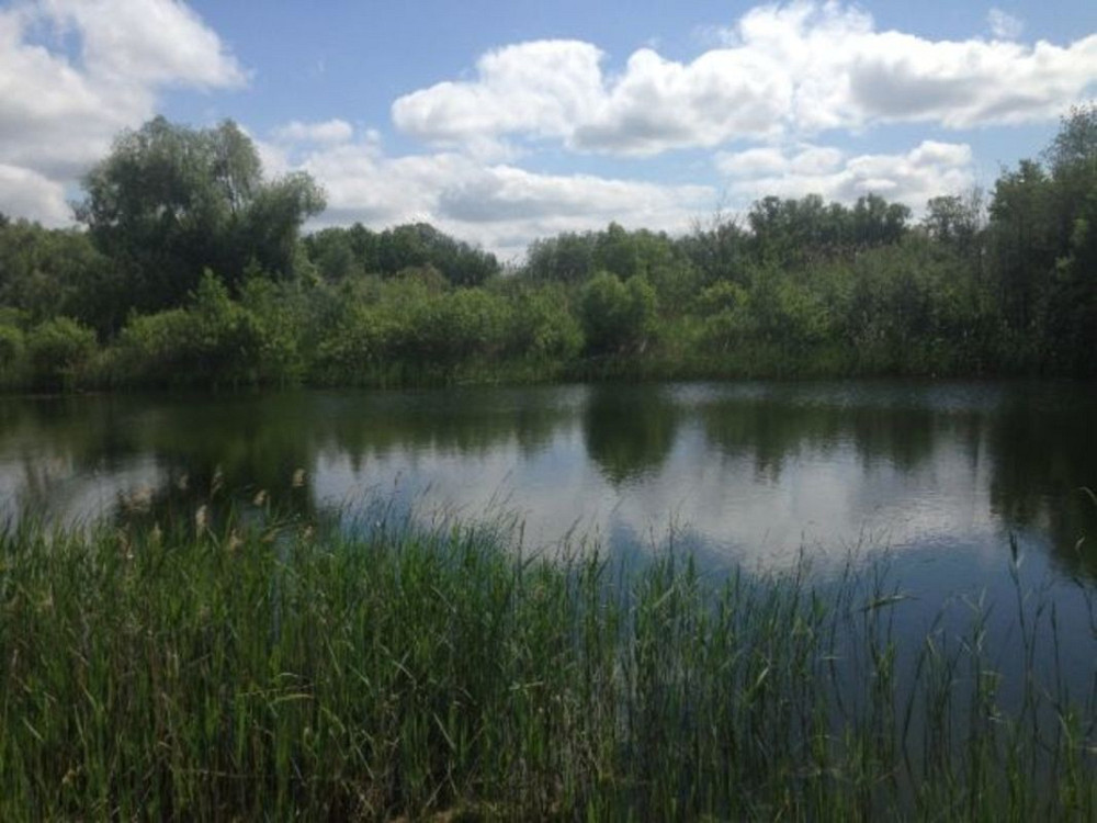 Продаж земельної ділянки 94 соток Лебедин - фото 1