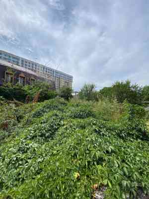 Продаж земельної ділянки 0.1 соток на переулок Компасный, 8 Odessa