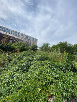 Продаж земельної ділянки 0.1 соток на переулок Компасный, 8 Odessa - photo 3