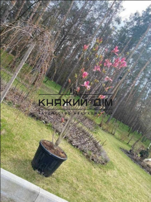 Продаж 2-поверховий Будинок з ділянкою 20 сот 800 кв.м   Стоянка - фото 8