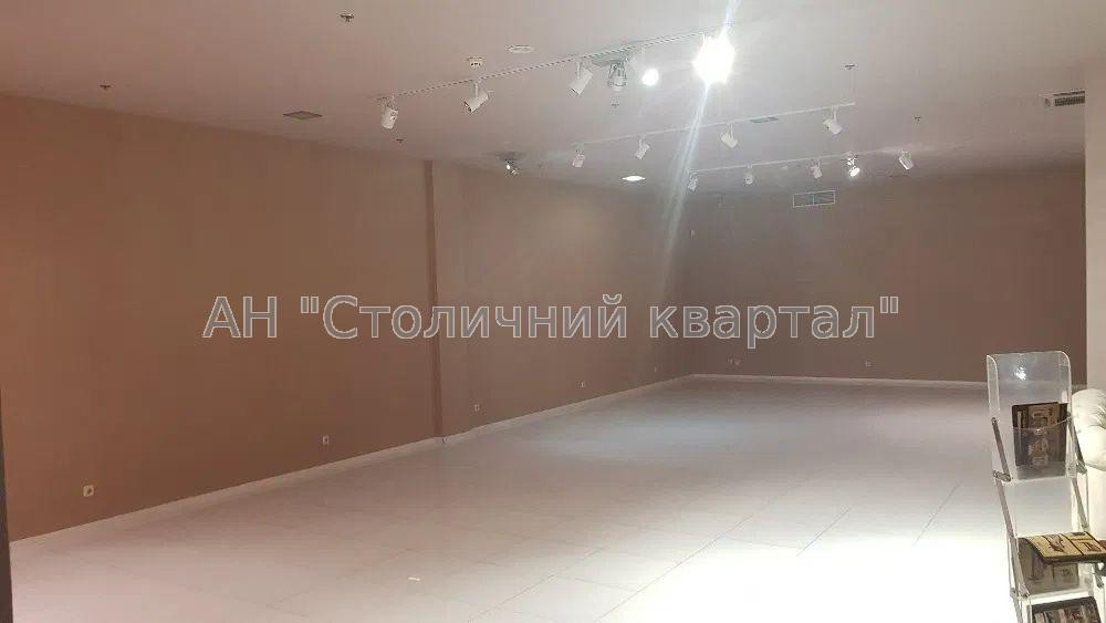 Оренда Будинок 1-кімнатний на Миколи Міхновського бул., 23 Київ - фото 5