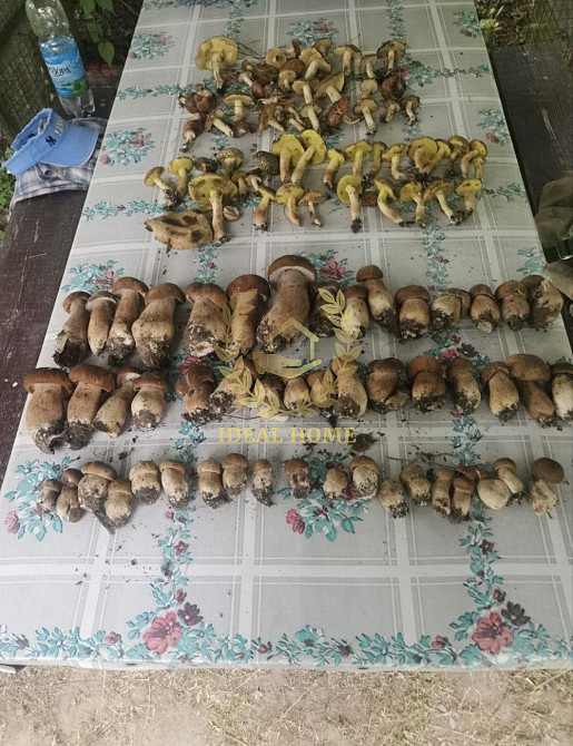 продам дачу с.Гвоздів.,Обухівського району Krenychi - photo 7