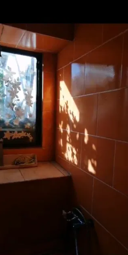 Продам дом с баней в с.Новоукраинка (Раздельнянский р-н, 55 км от Одессы) Новоукраїнка - фото 3