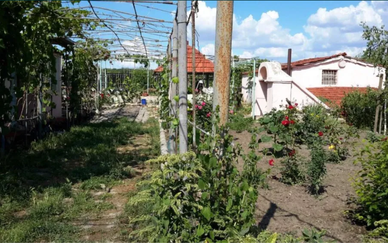 Продам дом с баней в с.Новоукраинка (Раздельнянский р-н, 55 км от Одессы) Новоукраїнка - фото 15