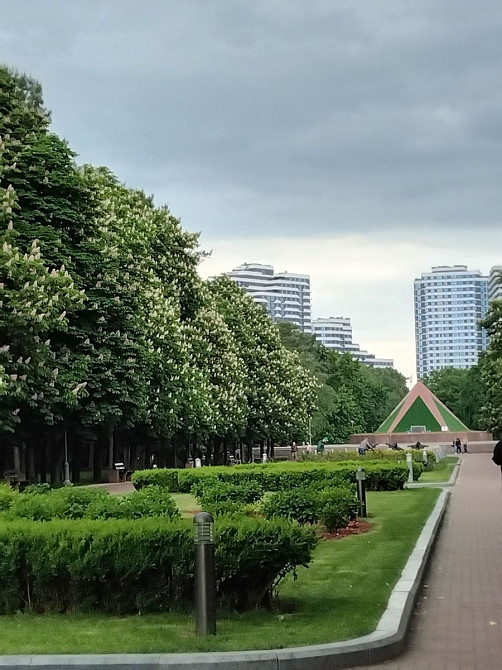 Оренда Квартира 1-кімнатна, 7/16 поверх на Князя Романа Мстиславича, 4 Киев - изображение 10