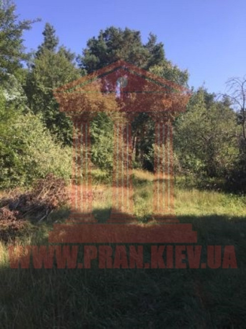 Продаж 1-поверховий Будинок з ділянкою 23.7 сот 120 кв.м  на Центральная Проців - фото 6