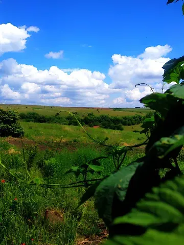 Продаж земельної ділянки  площа 6 сот Вишнева вулиця  - фото 5