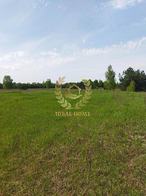 Продаж земельної ділянки 24.99 соток  - фото 5