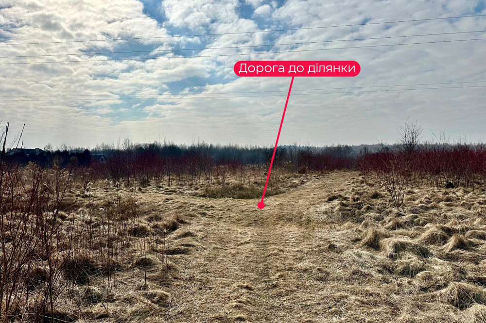 Продаж земельної ділянки 86 соток Солонка - фото 8