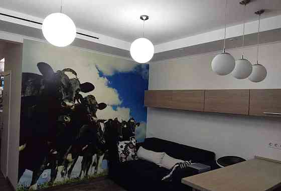 Оренда Квартира 1-кімнатна, 19/23 поверх на Олени Пчілки, 2а Київ