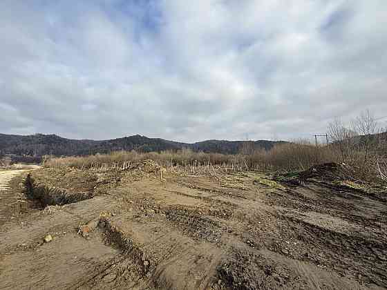 Продаж земельної ділянки 80 соток на вул. січових стільців Верхне Синьовидне