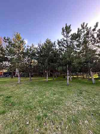 Продаж земельної ділянки 25 соток Ivankovychi