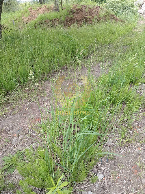 Продаж земельної ділянки 2.51 соток Kiev - photo 1