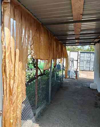 Продається будинок у Світлому на 6 акрах землі Світле