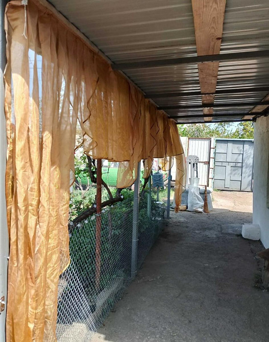 Продається будинок у Світлому на 6 акрах землі Світле - фото 6