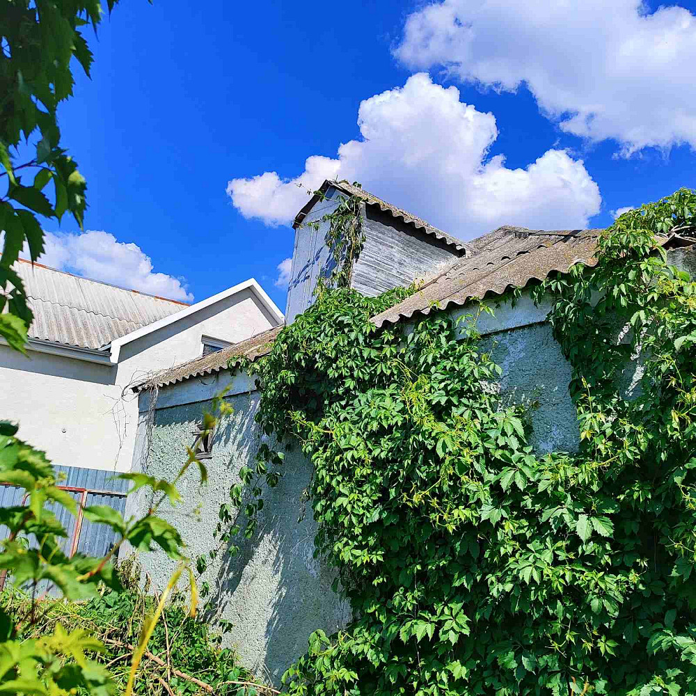 Продам дом в с. Нерубайское. Нерубайське - фото 1