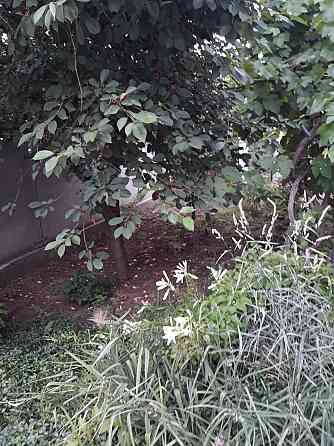 Два дома на одном участке в Черноморке Одесса