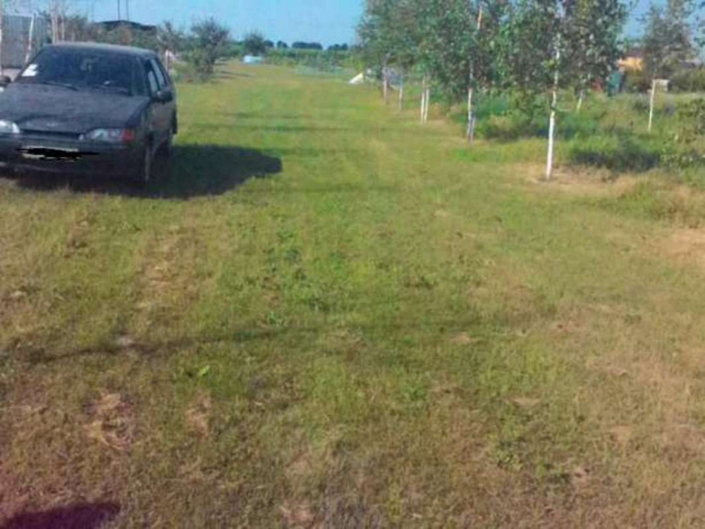 Продаж земельної ділянки 25 соток на кооп. Солнечный  - фото 4