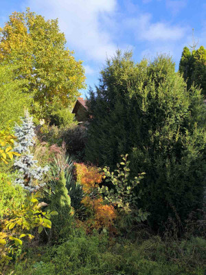 Продаж земельної ділянки 0.1 соток на ул. Абрикосовая, 37 Одесса - изображение 11