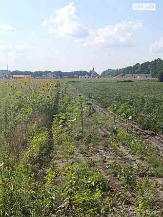 Продаж земельної ділянки 6 соток Vinnytsya