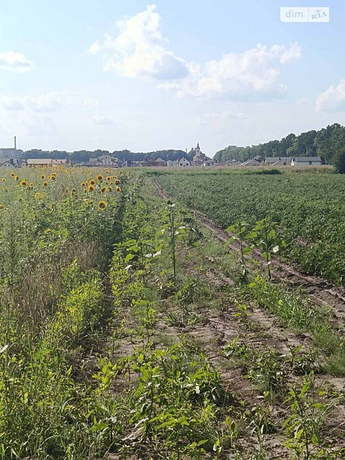 Продаж земельної ділянки 6 соток Vinnytsya - photo 4