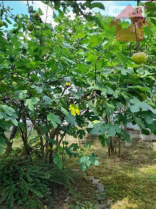 Продаж Будинок на Підлипники, 34  - фото 8