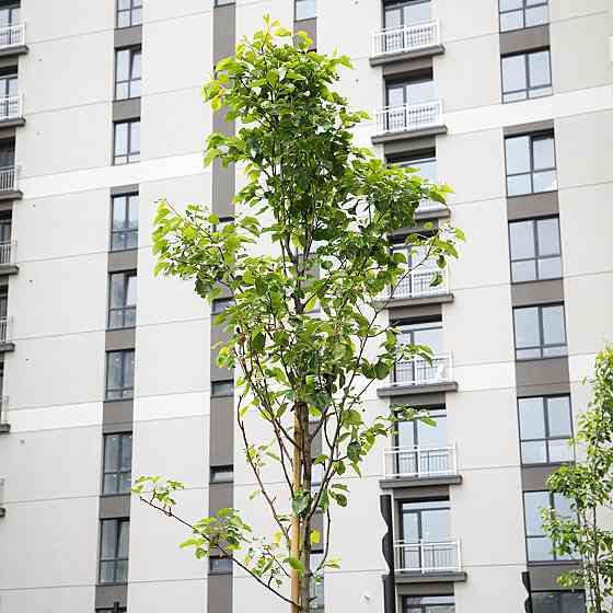 Продаж Квартира 1-кімнатна, 8/10 поверх на вул. Крихівці / Виноградна Ивано-Франковск