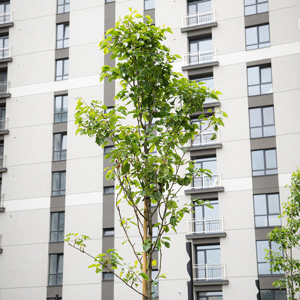 Продаж Квартира 1-кімнатна, 8/10 поверх на вул. Крихівці / Виноградна Ивано-Франковск - изображение 2