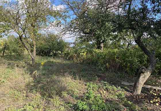 Продаж Будинок 2-кімнатний на вул. Степана Бандери Смиківці