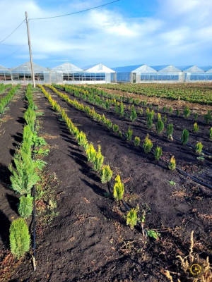 Продаж земельної ділянки 0 соток на ул. Молодіжна, 5 Rozdil'na - photo 7