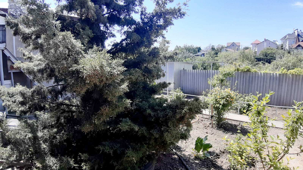 Капитальный дом у моря в курортной Крыжановке Крижанівка (Комінтернівський район) - фото 19