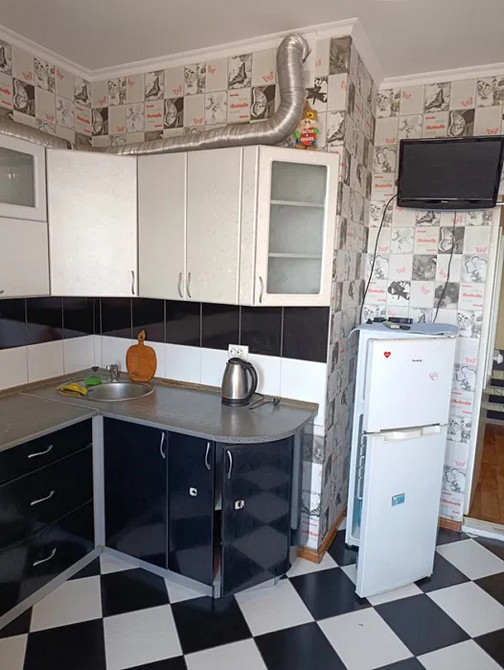 Оренда Квартира 1-кімнатна, 3/16 поверх на Алматинська, 39з Kiev - photo 5