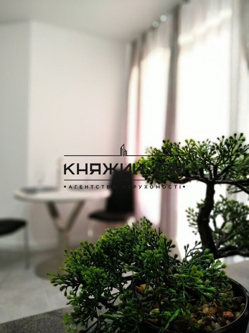 Оренда Квартира 1-кімнатна, 17/25 поверх на Предславинская ул. Kiev - photo 6