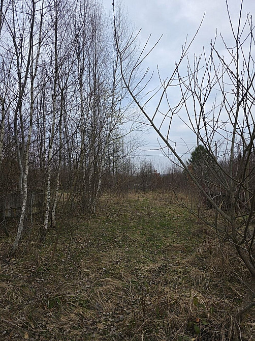 Продаж земельної ділянки 30 соток на Монастирська Посіч - фото 8